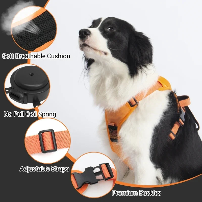 “All-in-One” dog harness