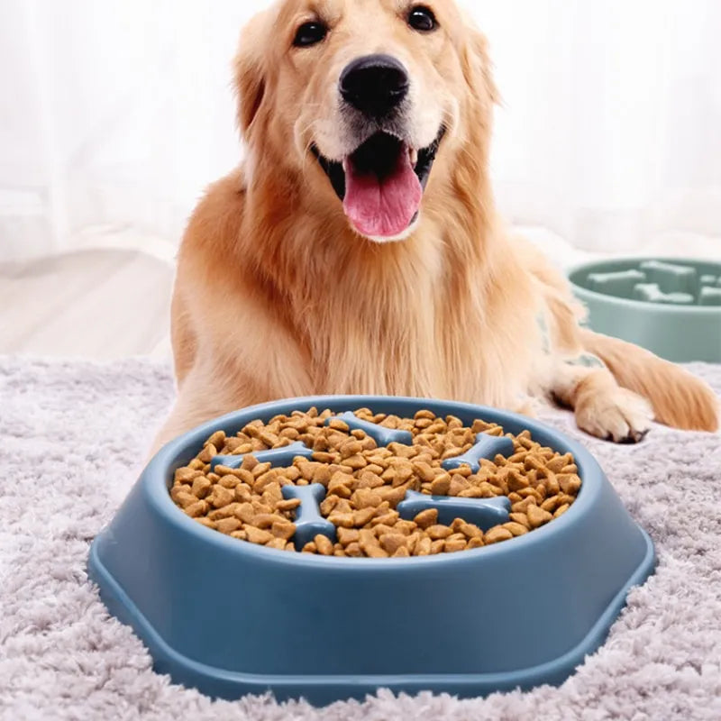 Antischlingnapf für Hunde und Katzen