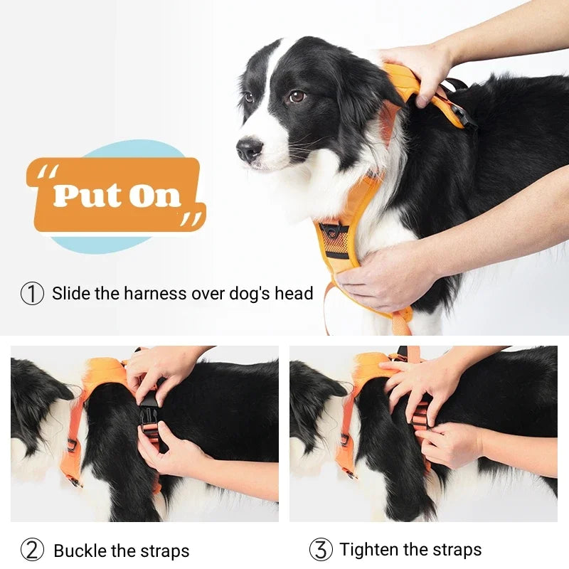 “All-in-One” dog harness