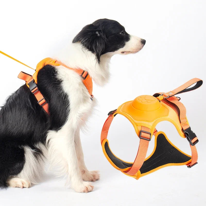 “All-in-One” dog harness