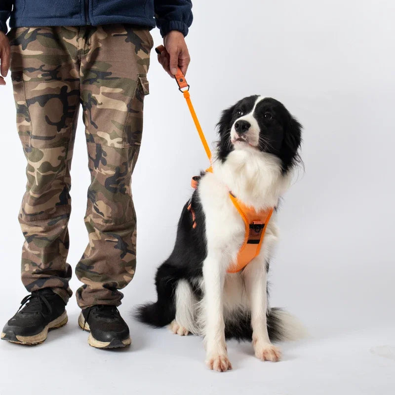 “All-in-One” dog harness