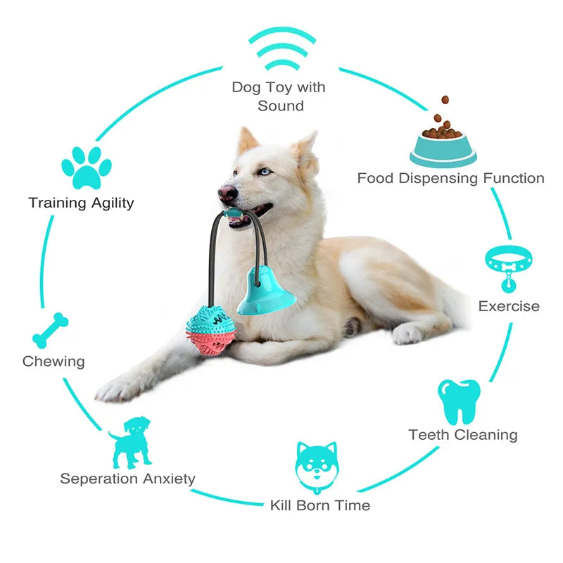 Interactive dog toy with suction cup