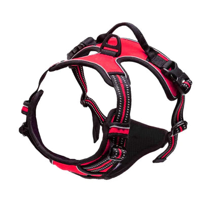 Dog harness “Reflection”